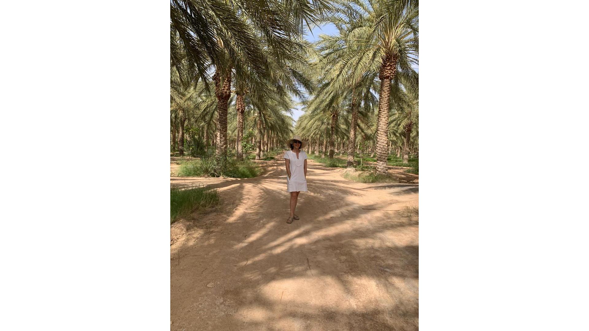 بين ربوع الجزائر